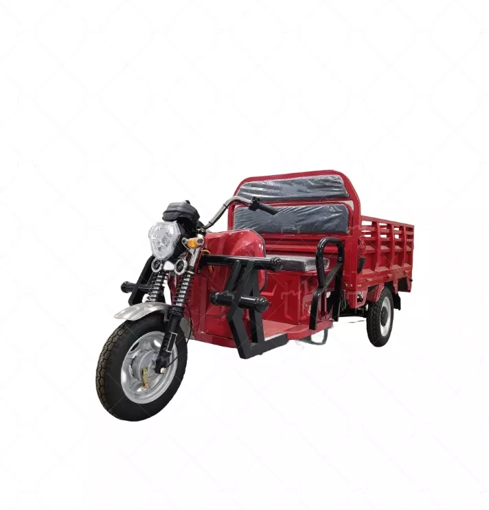 Electric Cargo Tricycle