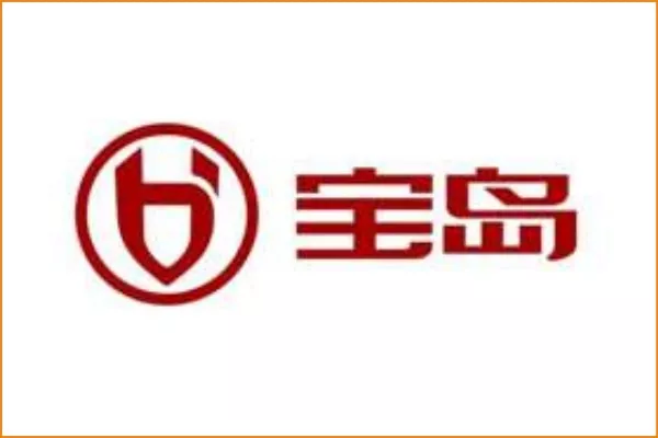 BODO electric vehicles
